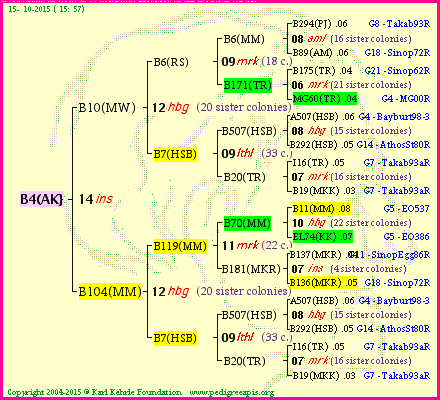 Pedigree of B4(AK} :
four generations presented